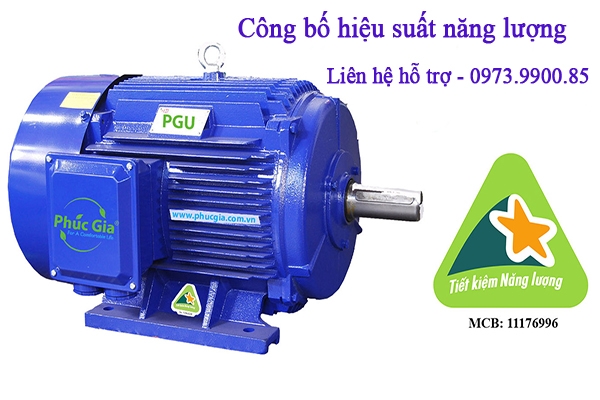 Hướng dẫn Công bố hiệu suất năng lượng cho động cơ điện